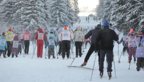 Правительство Пермского края планирует вовлечь в занятия спортом 40% жителей региона