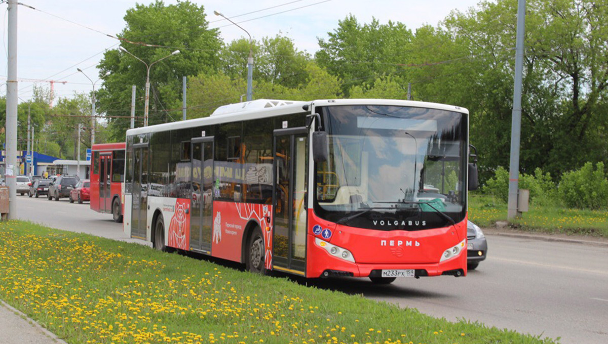 С 1 июля вносятся изменения в работу некоторых автобусных маршрутов Перми
