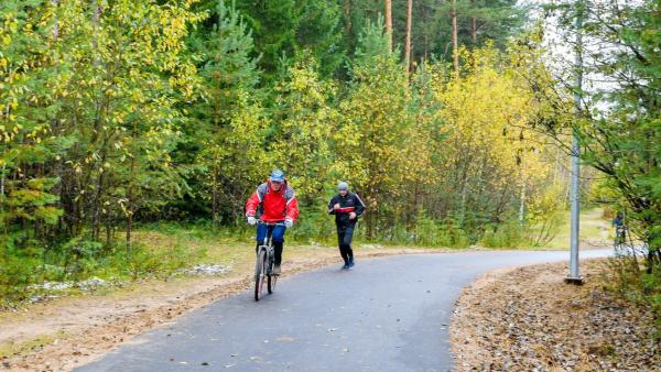 В Черняевском лесу начали обустраивать велосипедные и пешеходные дорожки
