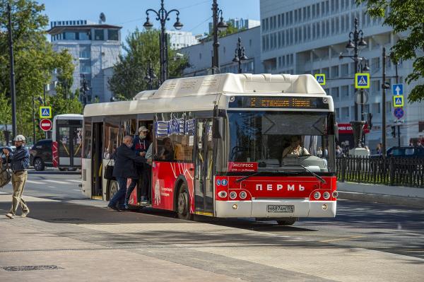 В воскресенье в Перми изменятся маршруты следования трёх автобусов