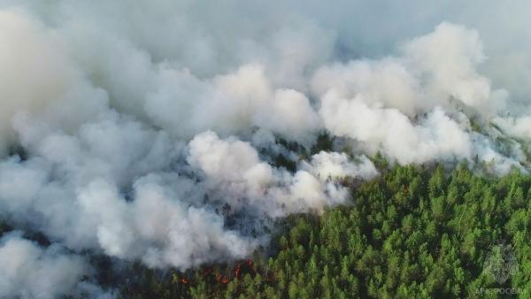 Губернатор Прикамья поблагодарил МЧС за ликвидацию лесного пожара под Краснокамском