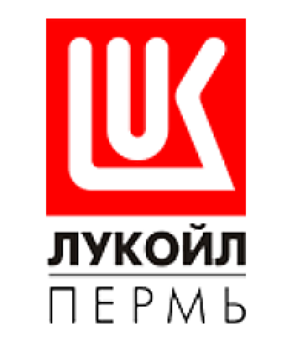 В Прикамье 179 лучших заявок получили поддержку «ЛУКОЙЛа» в конкурсе социальных и культурных проектов