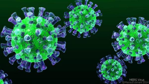 За сутки в Пермском крае подтверждён 251 новый случай коронавируса