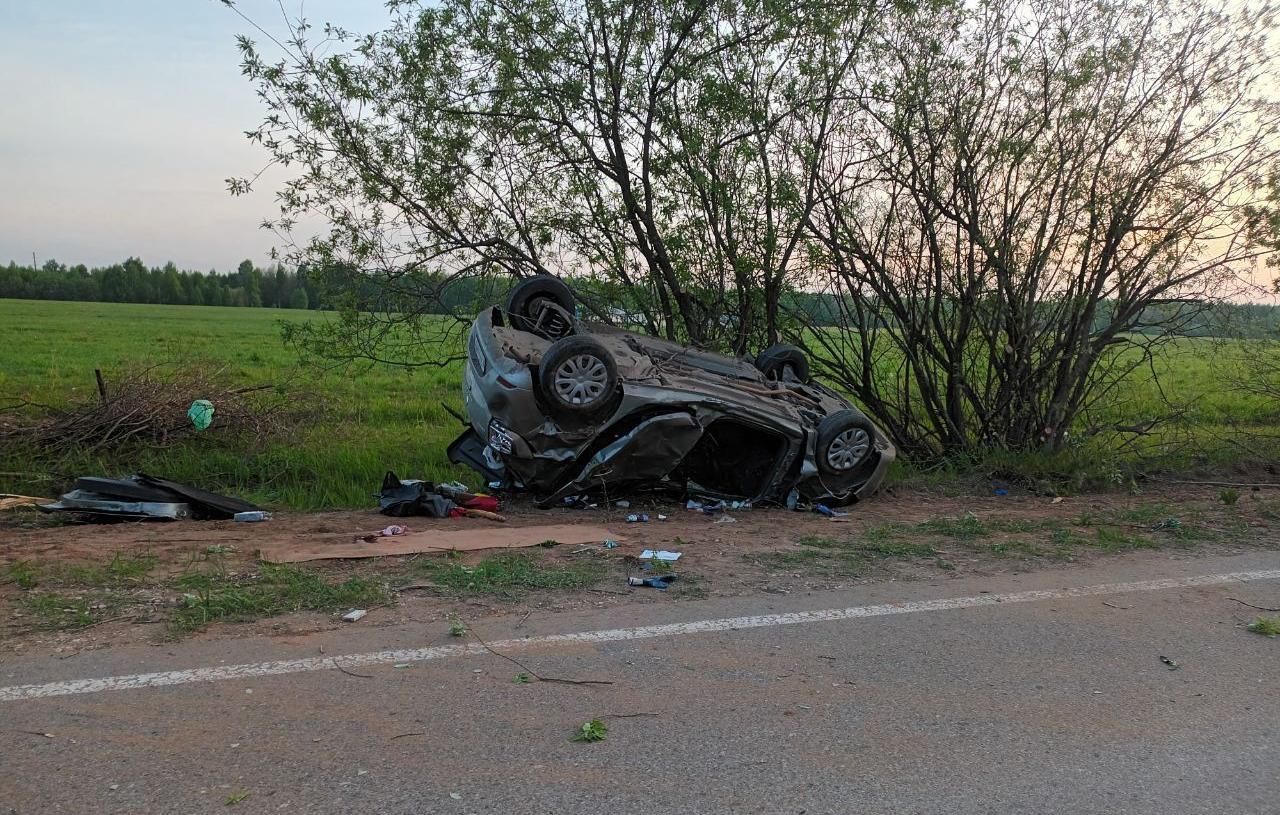 В Пермском крае водитель врезался в дерево и погиб | «Новый компаньон»