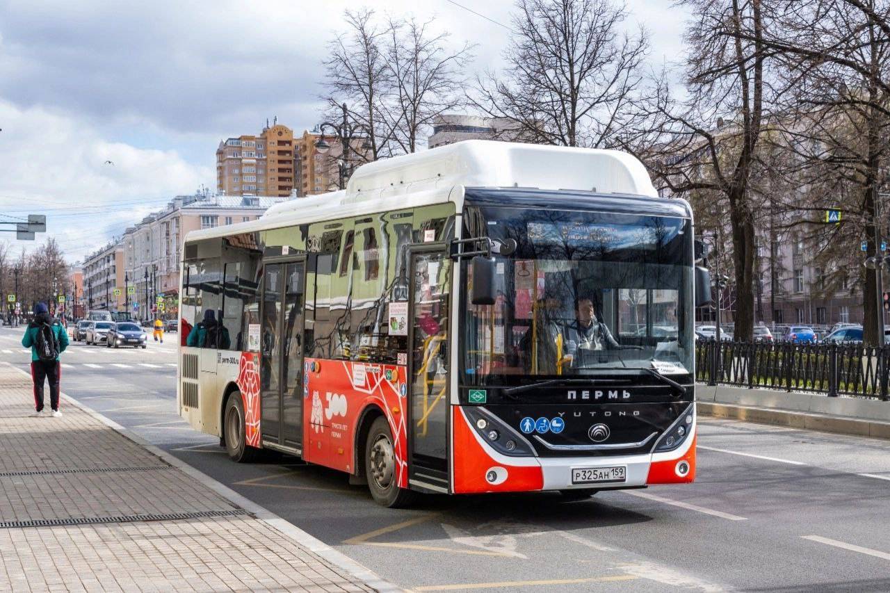 В Перми на маршрут вышел второй китайский автобус | «Новый компаньон»